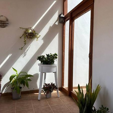 Private Villa With Pool In The Mountains Pajara  Luaran gambar