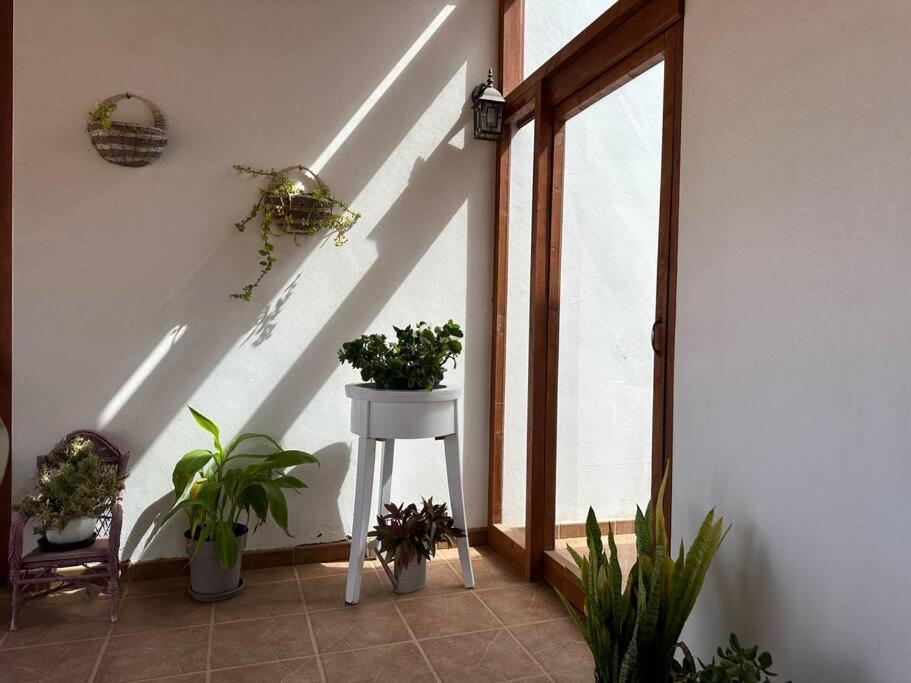 Private Villa With Pool In The Mountains Pajara  Luaran gambar